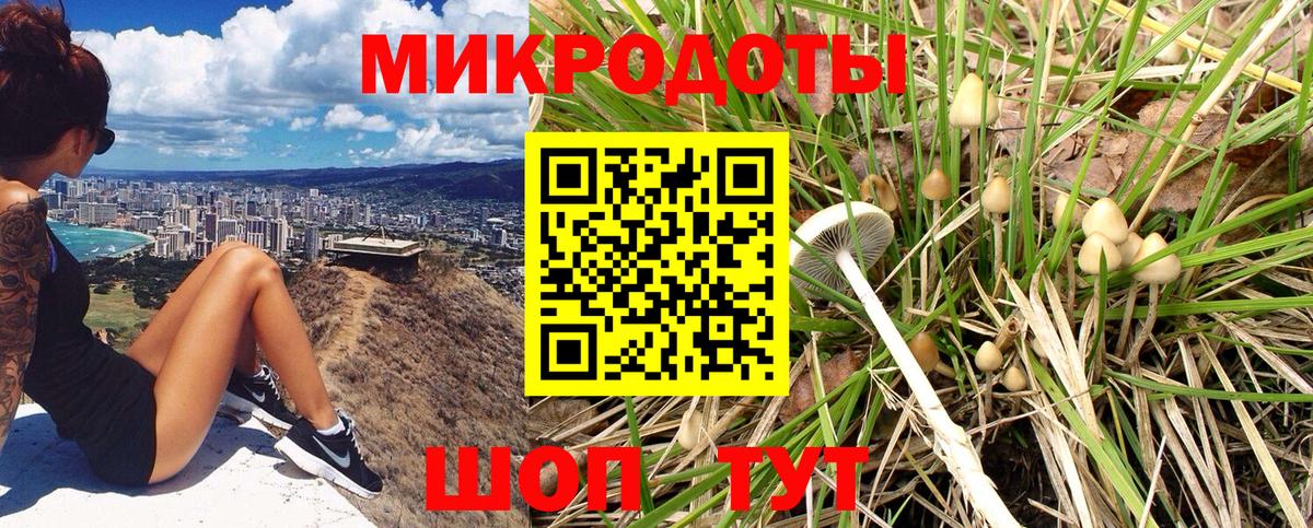 Псилоцибиновые грибы мухоморы  Вход с VPN  Серпухов  Галлюциногенные грибы мицелий 